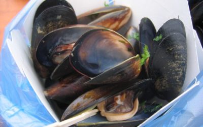 Fresh Mussels With Reduced White Wine Sauce